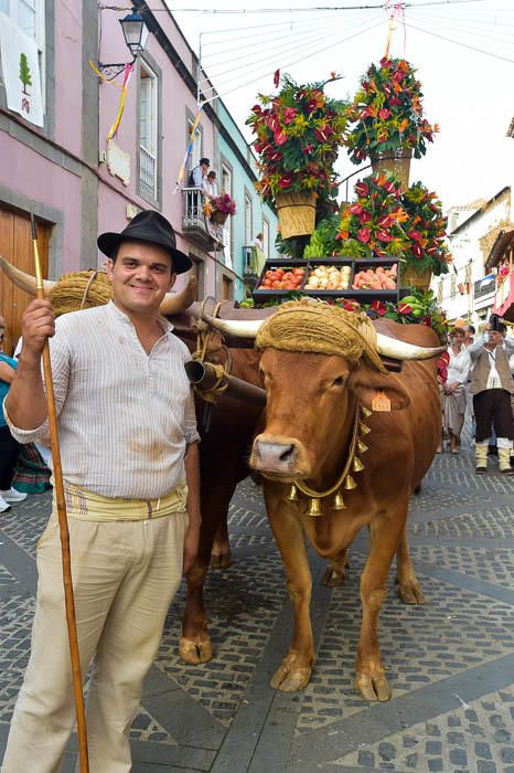 Carretas y grupos en la romería del Pino