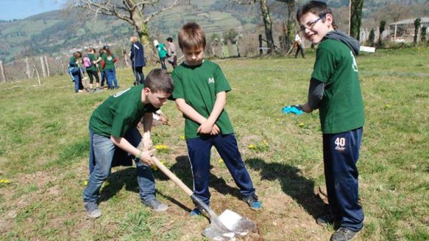 Los escolares plantan pumares con su nombre en Sariego