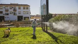 Cómo hacer frente al virus del Nilo en Córdoba