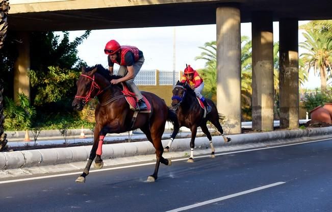 Carrera de caballos en Telde