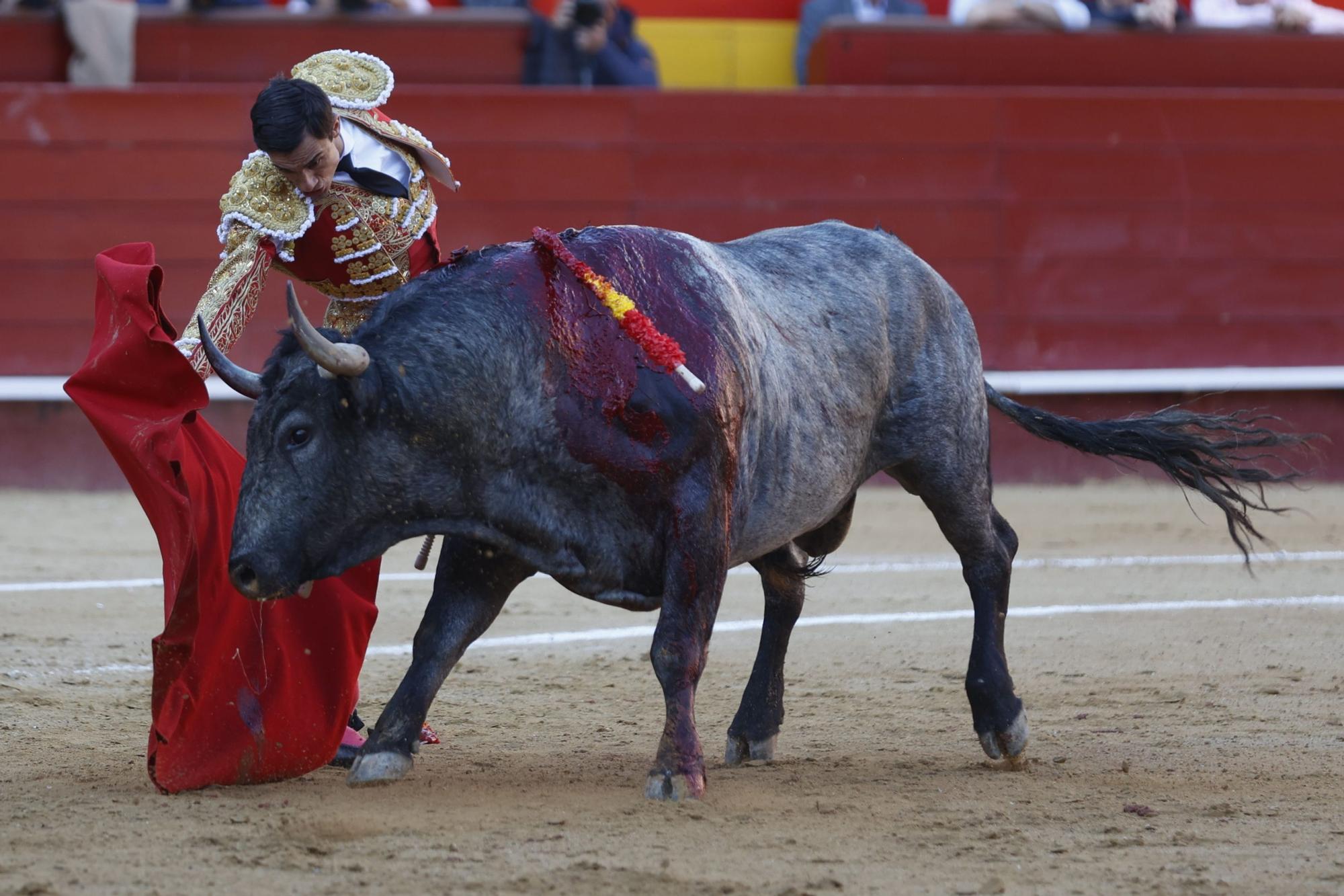 El triunfo de Daniel Luque en la Feria de Fallas