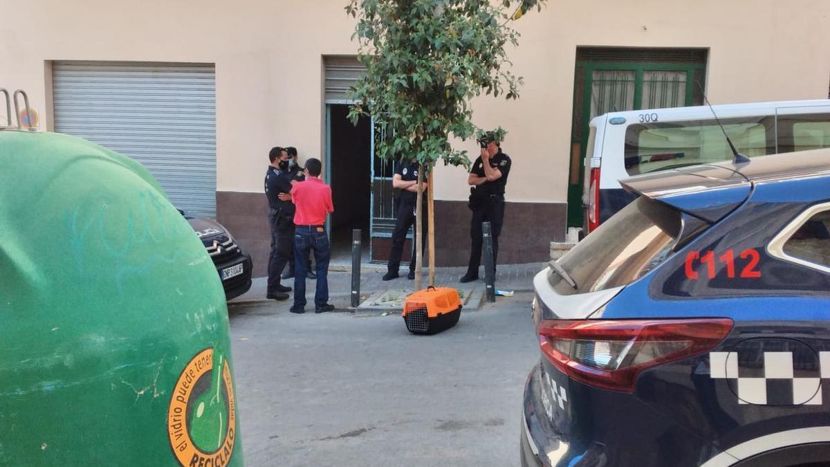 Agentes en la entrada del edificio. Agentes en la entrada del edificio.