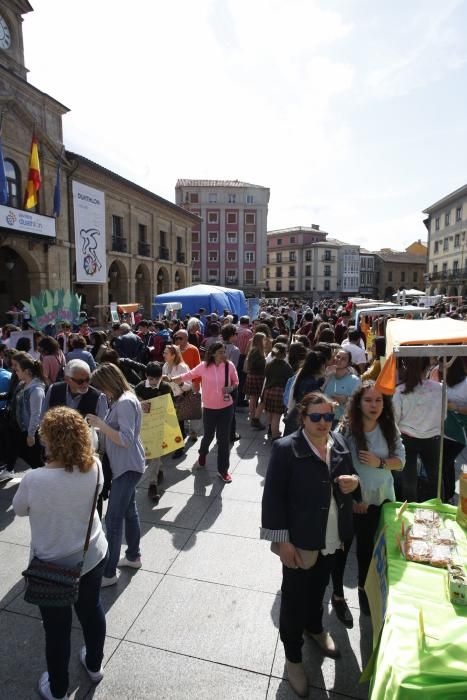 Mercado de cooperativas y asociaciones en Avilés