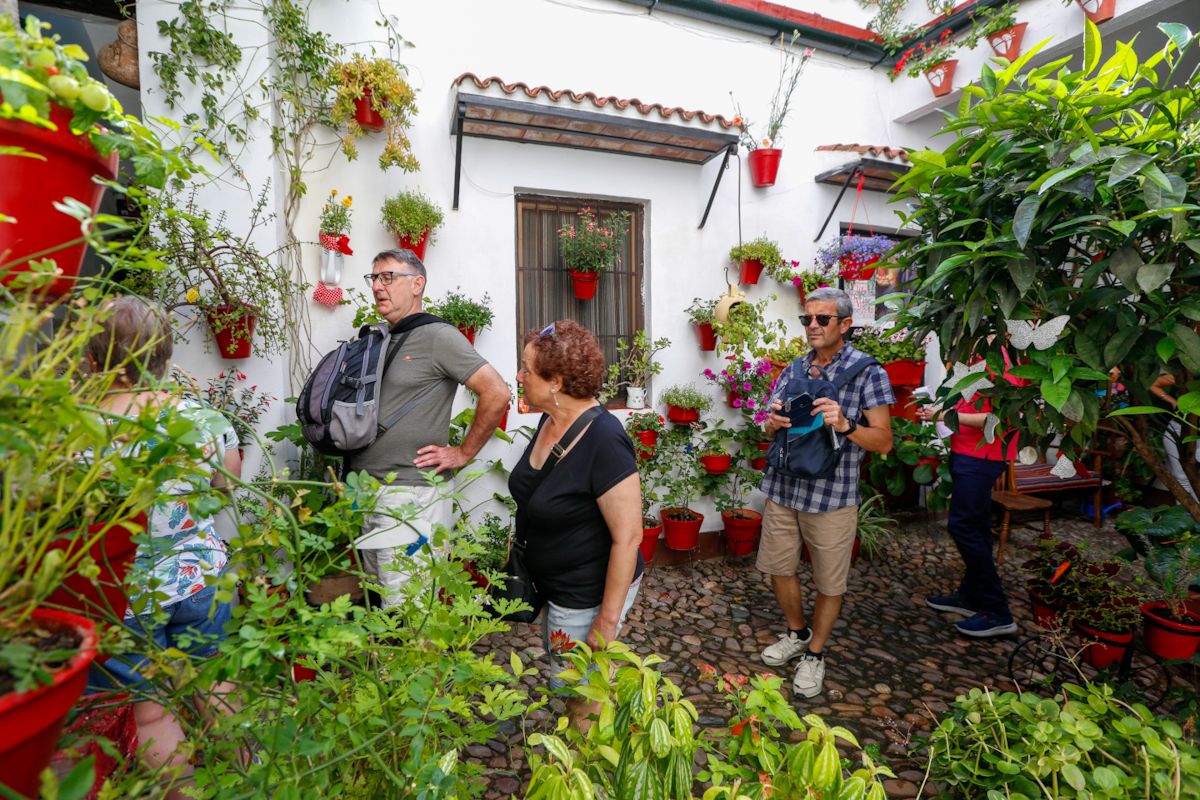 Los Patios de San Lorenzo y San Rafael