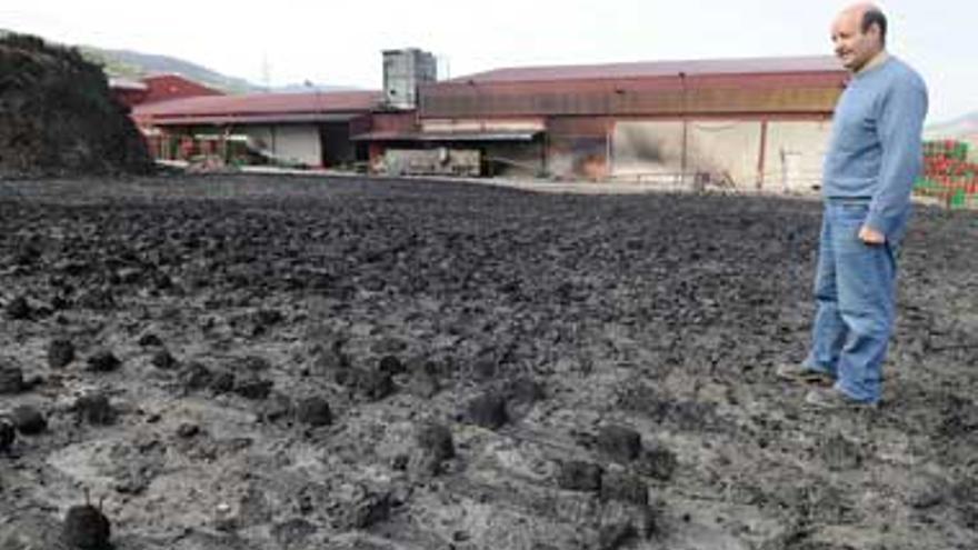 Un incendio quema 100.000 cajas de plástico en la Agrupación de Cooperativas del Jerte