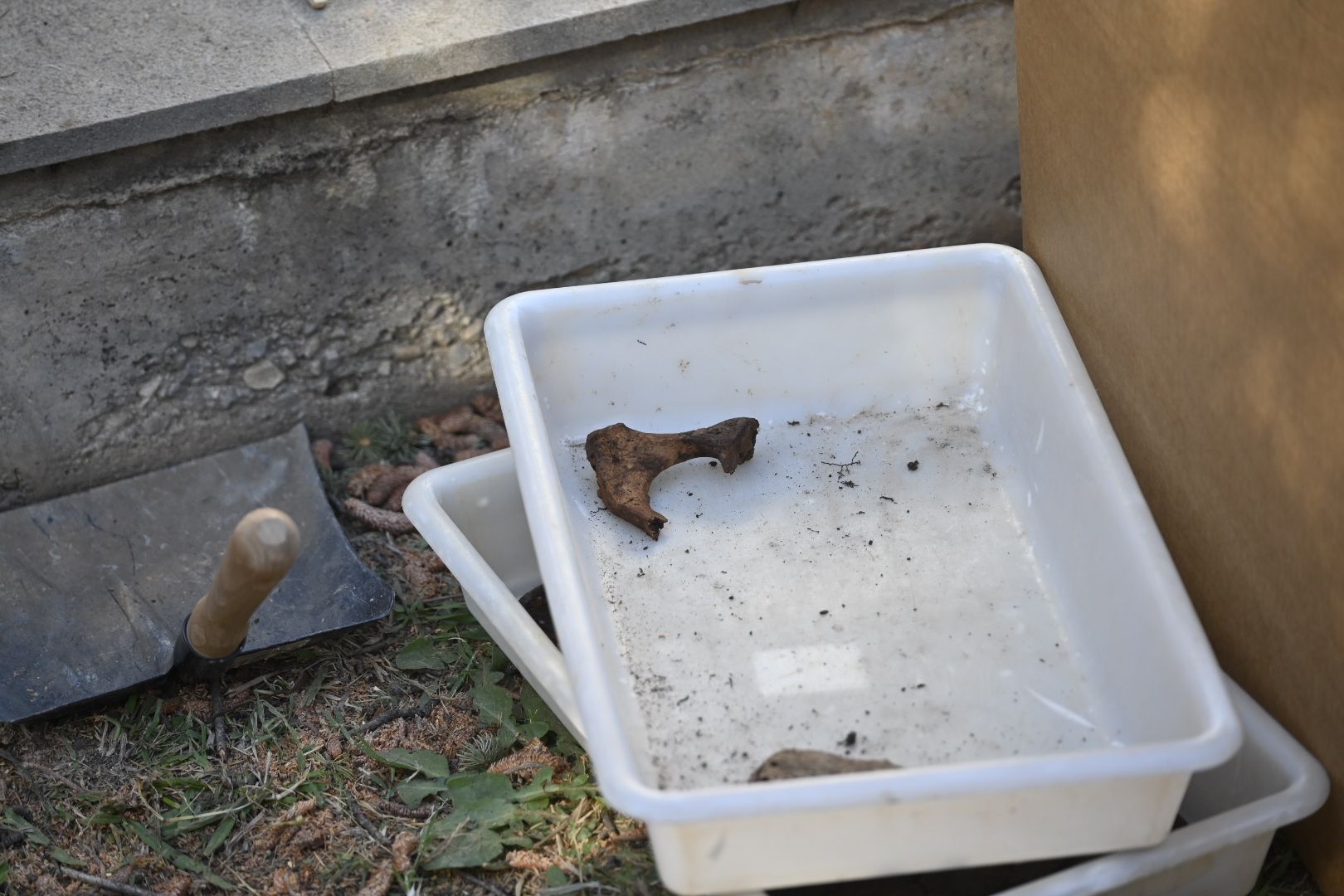 Vila-real exhuma la cripta del cementerio en busca de José Pla, asesinado por el franquismo