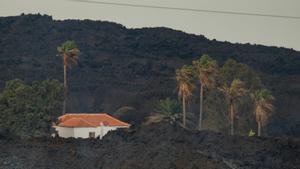 L’Armada estudia utilitzar llanxes per traslladar agricultors a plantacions inaccessibles per l’erupció del volcà de La Palma