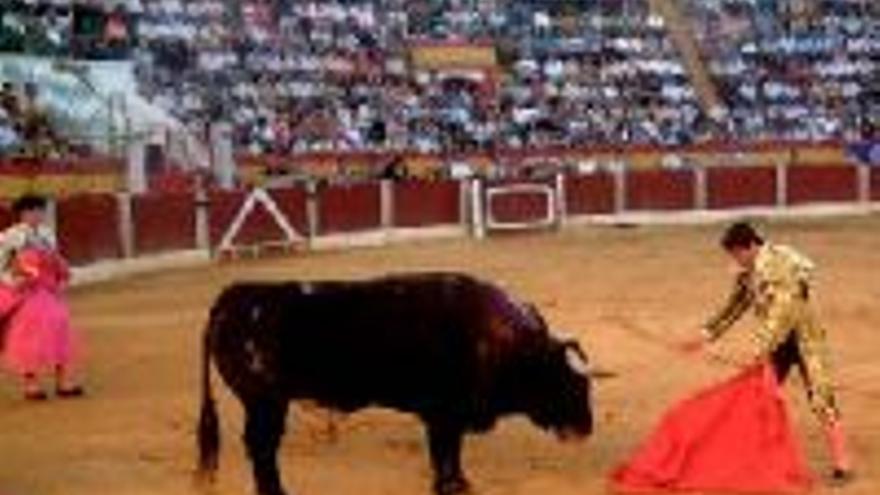 Buscan nueva empresa para la plaza de toros