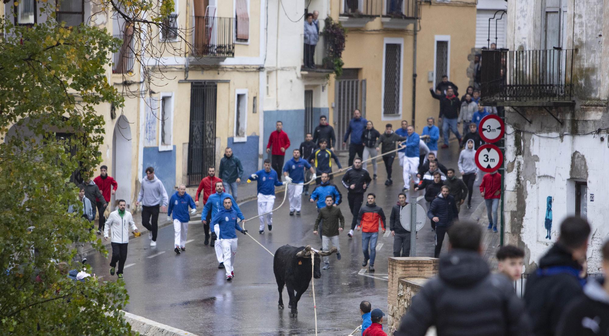 El "Bou en corda" vuelve al Pont Vell de Ontinyent