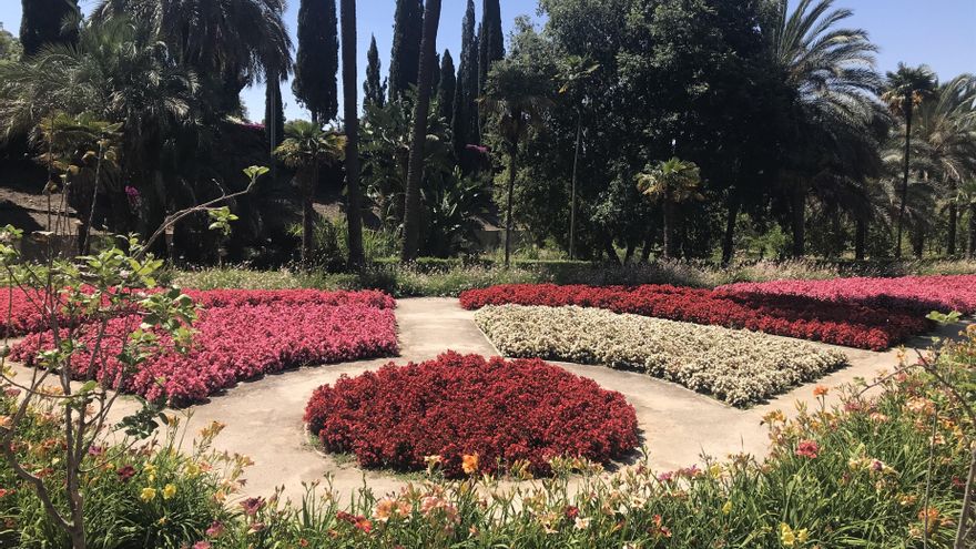 Jardín histórico botánico La Concepción.