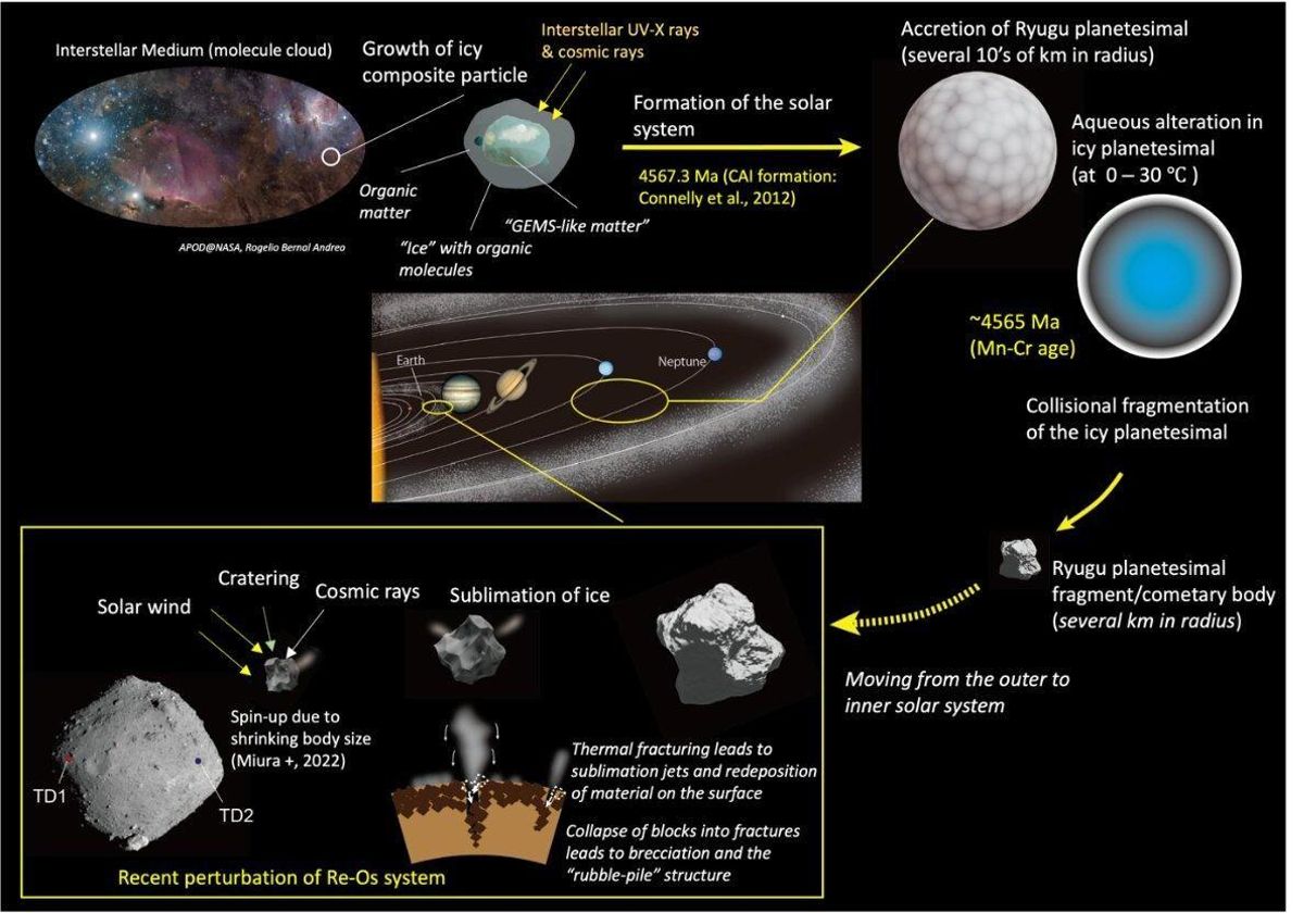 Descripción general de los procesos que llevaron a la formación y evolución del Ryugu actual.