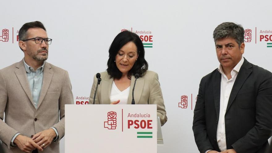 El PSOE pide a la Diputación de Córdoba que dé destino a los 34 millones de euros que recibirá del Estado
