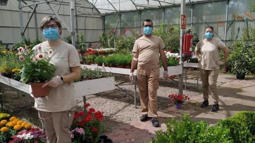 Gardeniers, el vivero de Atades, reabre sus puertas