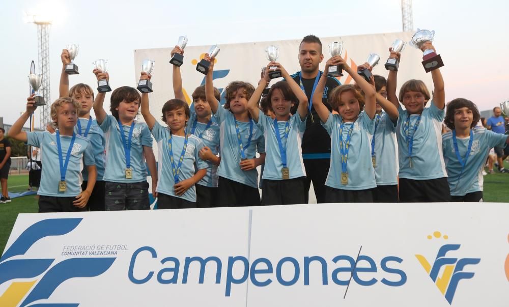 Campeones futbol 8