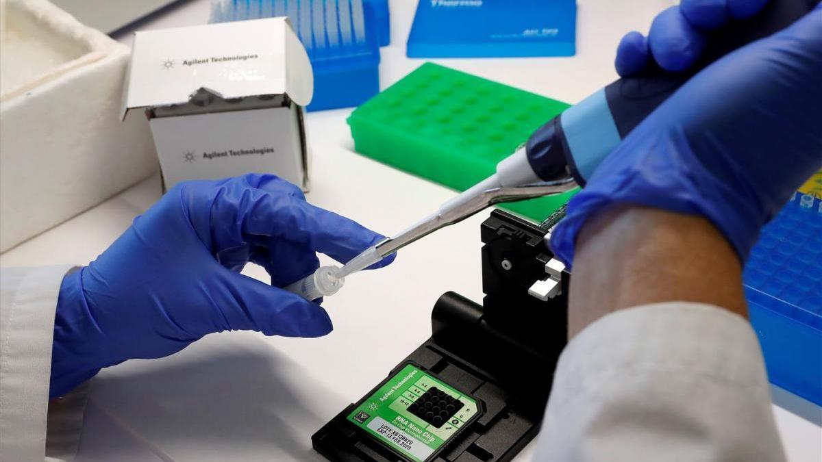 Microbiología del Reina Sofía trabaja 24 horas al día en el procesamiento de muestras