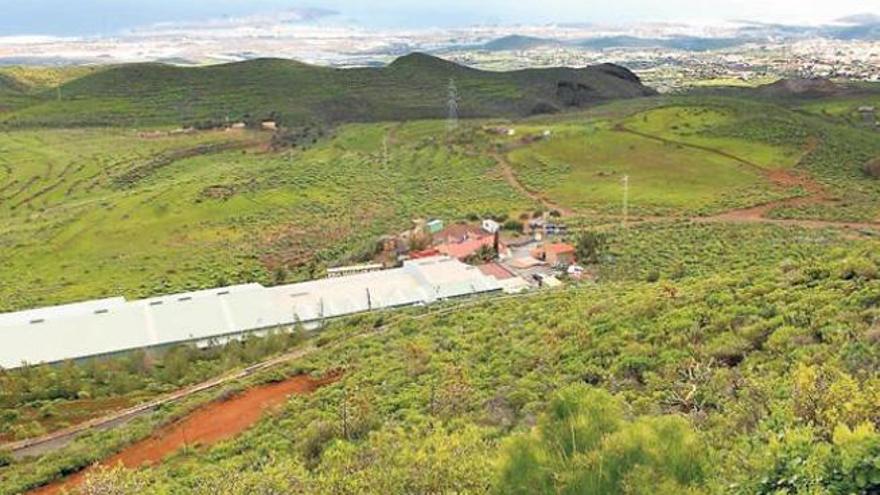 Canarias inicia la concesión de ayudas para eficiencia energética en explotaciones agrícolas