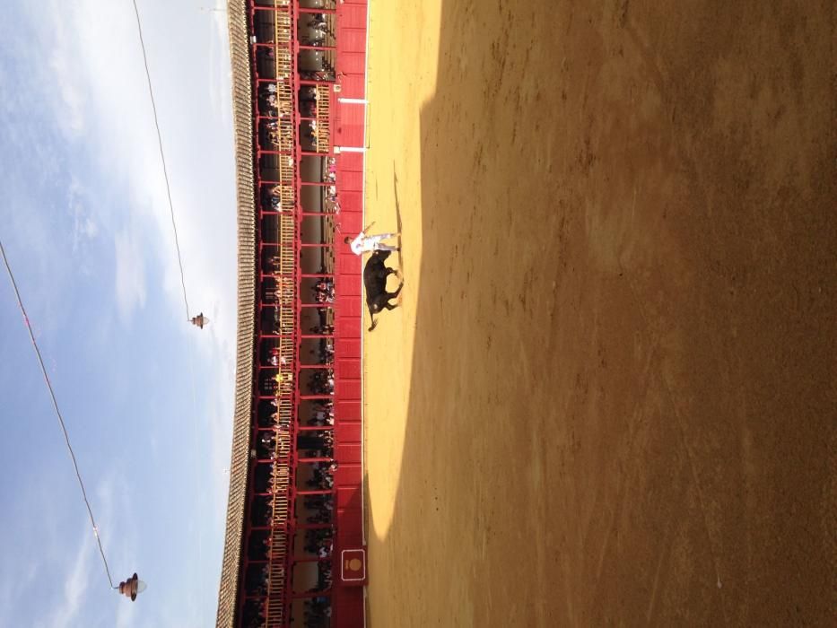 Fiestas Toro- concurso de jóvenes cortadores