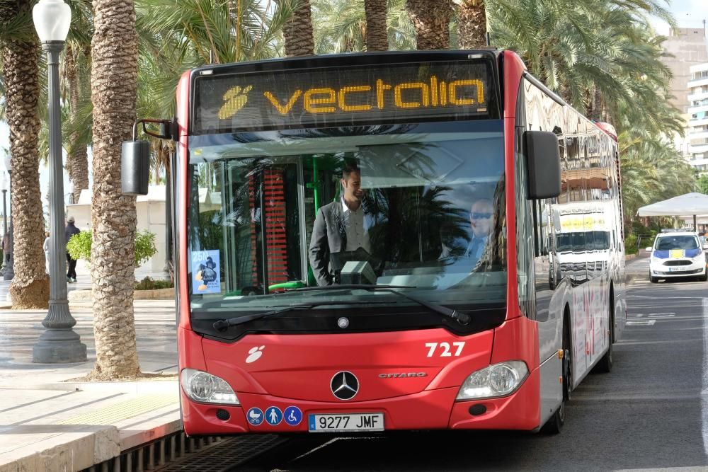 Autobuses contra la violencia machista en Alicante
