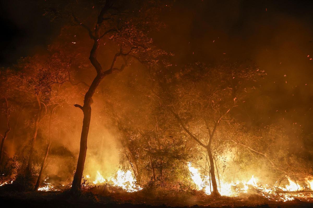 Los bomberos luchan por controlar los incendios en el Pantanal