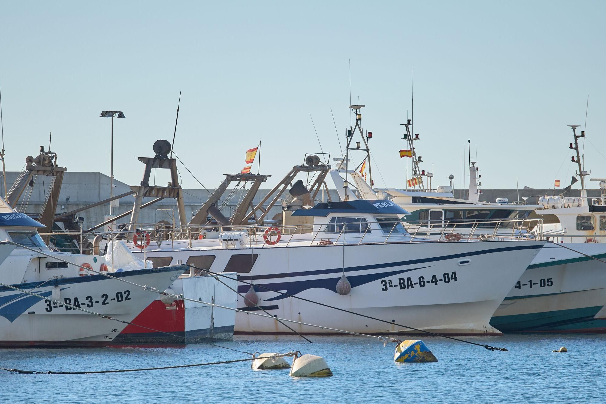 L'aturada de pescadors de Blanes, en imatges