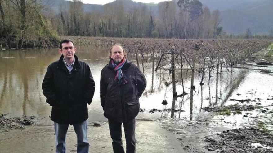 Ignacio Cavanilles e Ignacio Suárez, delante de la plantación El Llerón, en Santianes de Pravia.