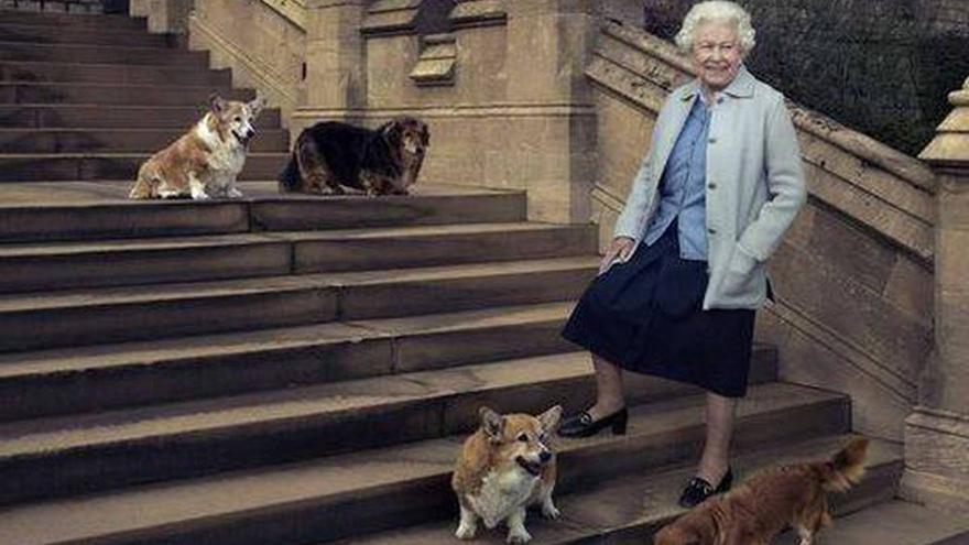 ¿Qué pasará con los perros de la Reina Isabel II?