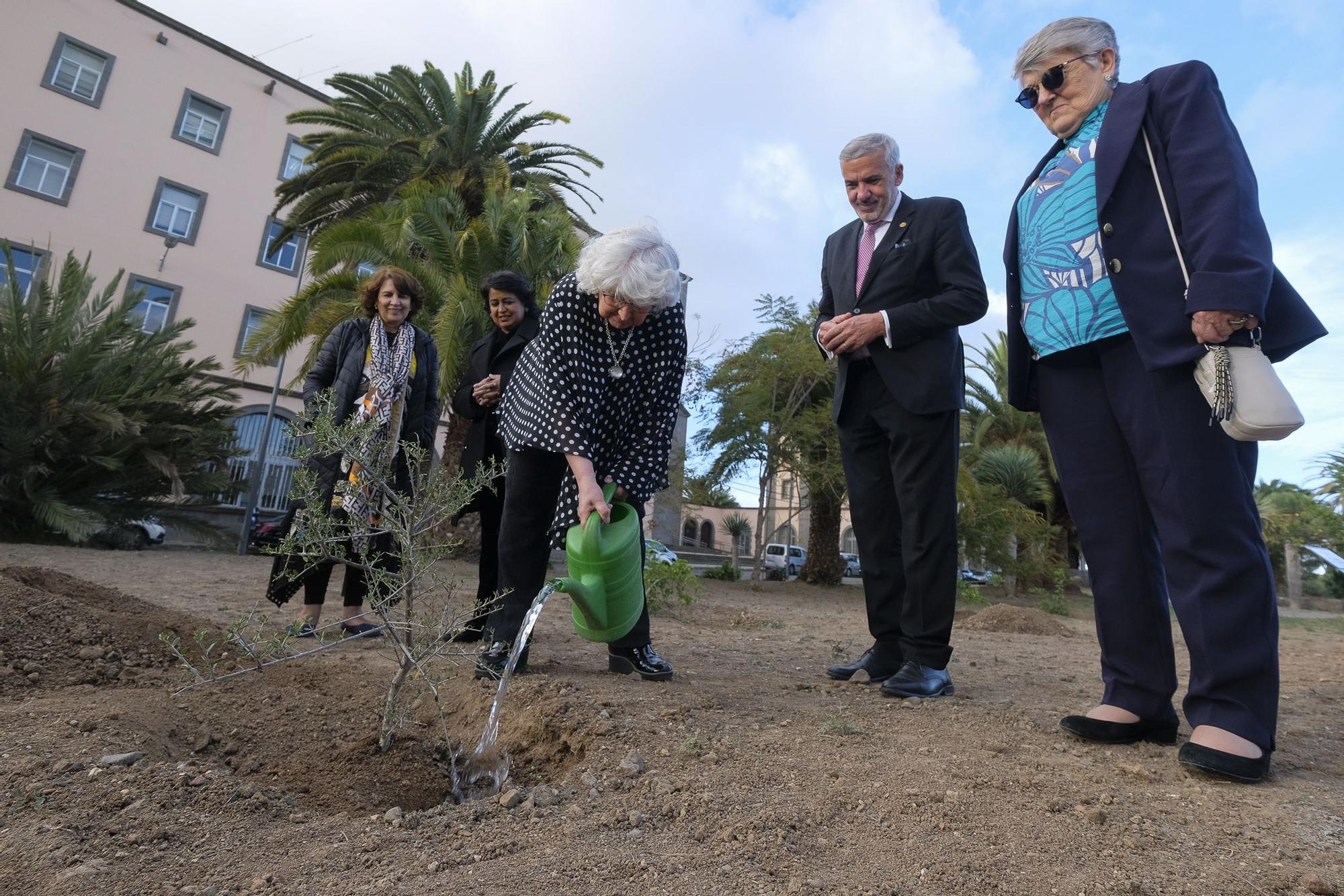 Plantación de 11 árboles por las 11 Doctoras 'Honoris Causa' de la ULPGC