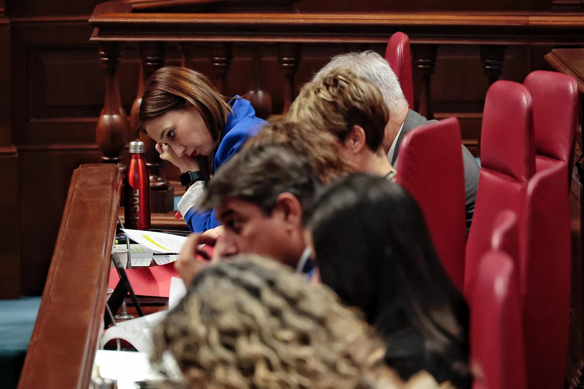 Pleno del Parlamento de Canarias