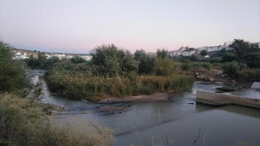 Puente Genil por su Río califica de insuficiente la limpieza de la CHG