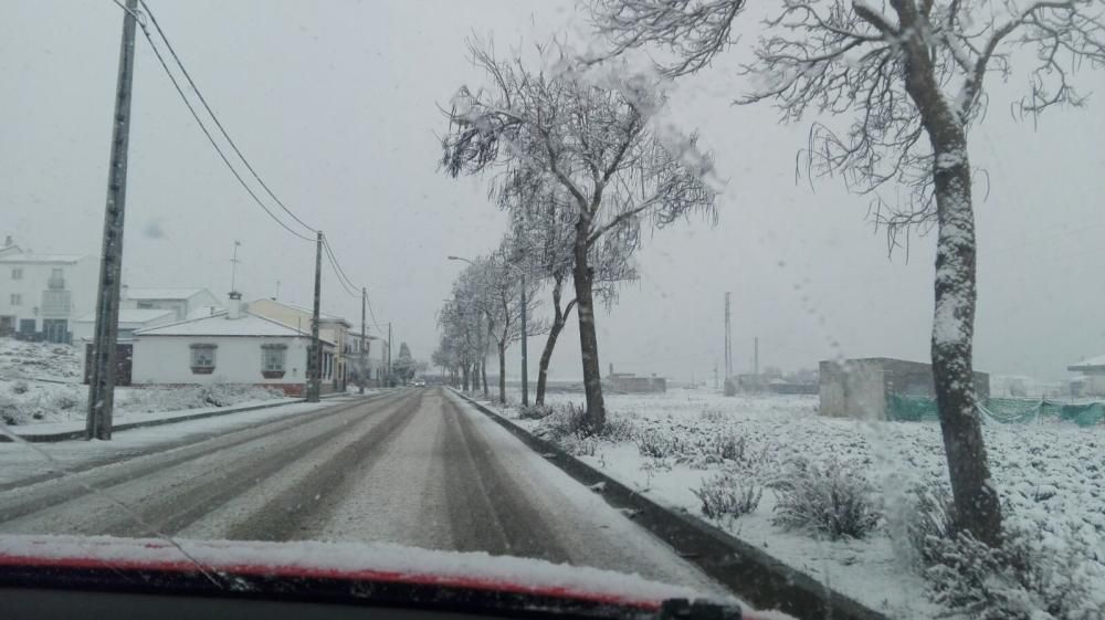 Nieve en Alcaucín