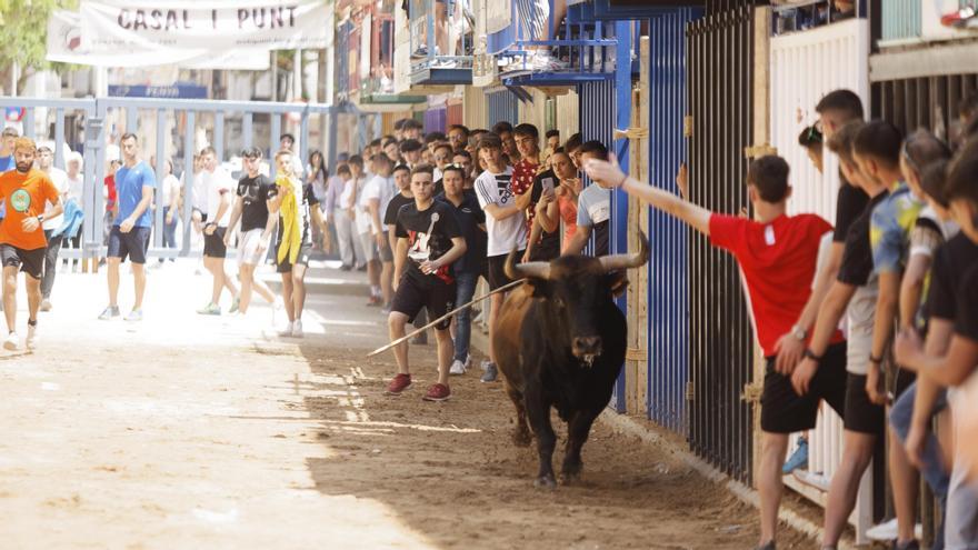 Las vacas de Miguel Parejo han protagonizado la sesión matinal en el recinto taurino.