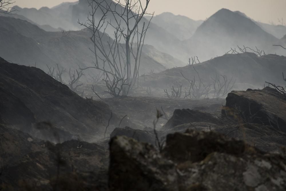 Incendio en los montes de León