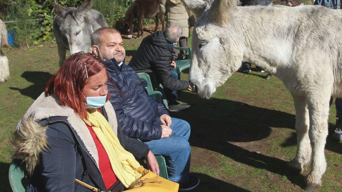 Douro busca a César continuamente para que lo acaricie.