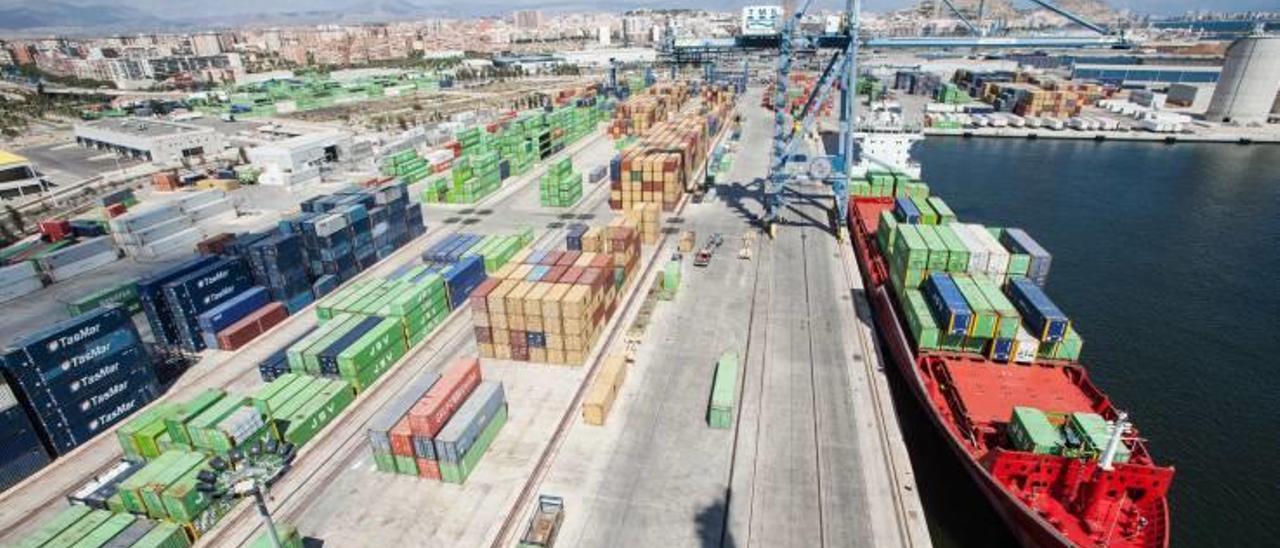 Terminal de contenedores del Puerto de Alicante, gestionada por la empresa Terminales Marítimas del Sureste (TMS).