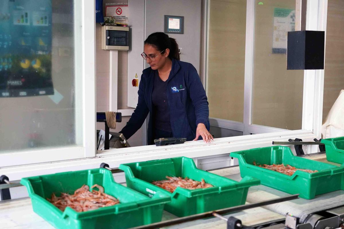 María Ávila controla el pesaje del pescado a su entrada en la lonja.