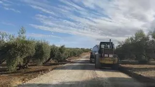 El Ayuntamiento de Baena intervendrá en 35 kilómetros de caminos rurales ante el inicio de la campaña de aceituna