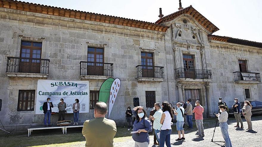 Por la izquierda, subasta del campanu del Narcea y del Sella el año pasado en Cornellana y Cangas de Onís, respectivamente. | Ángel González / J. M. Carbajal