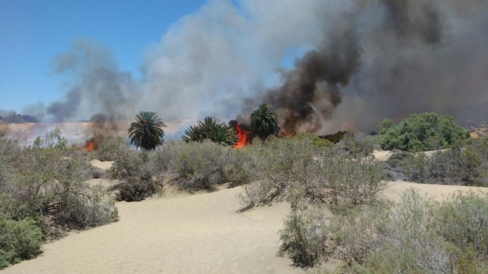 Incendio en las Dunas de Maspalomas