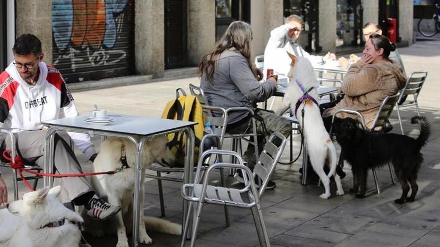 Estudis científics confirmen el paper dels bars en l&#039;expansió del coronavirus