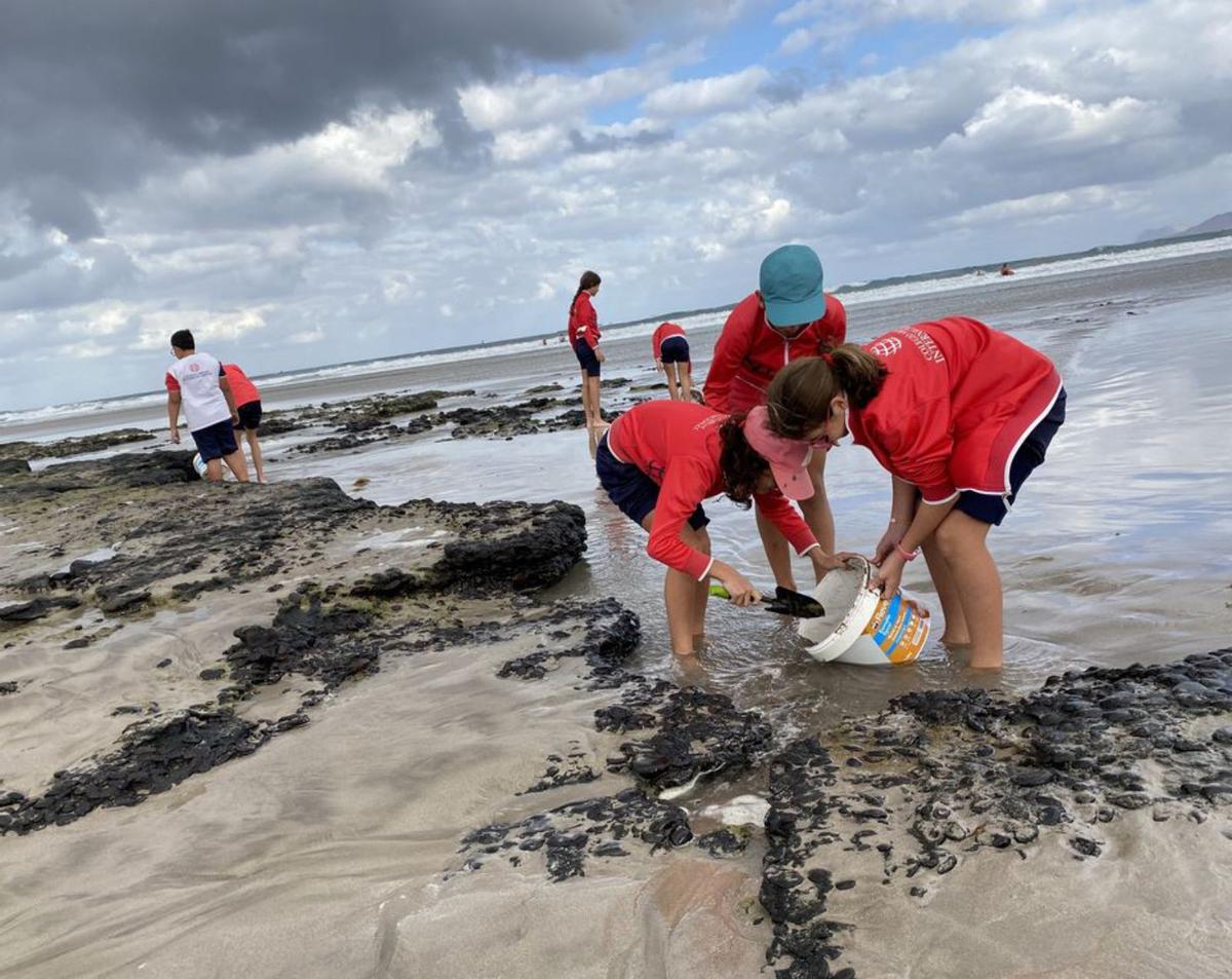 Alumnado del Colegio Arenas Internacional en una acción en la costa. |