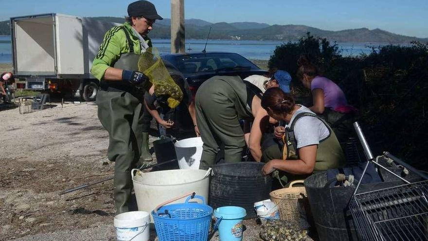 Mariscadoras de Carril en una de sus actividades en 2017. // Noé Parga