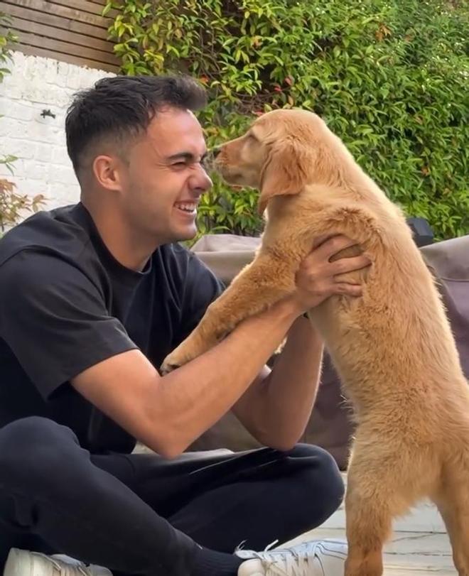 La confesión más inesperada de Sergio Reguilón: un avión privado de 135.000 dólares para su perro