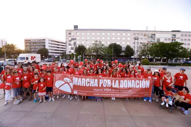 La Marcha por la Donación, nueva cita con la generosidad