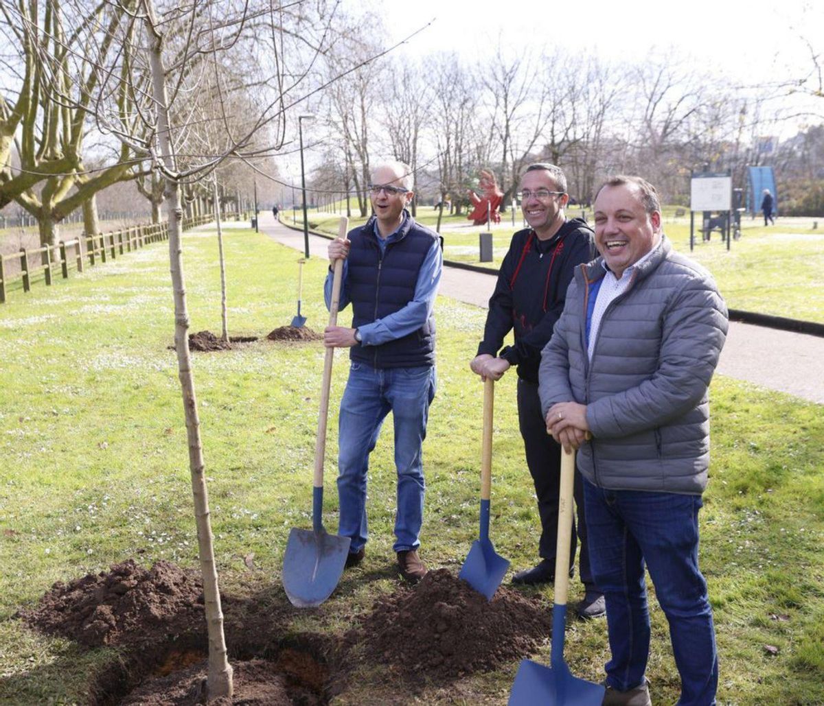 El árbol ya plantado. | LUISMA MURIAS
