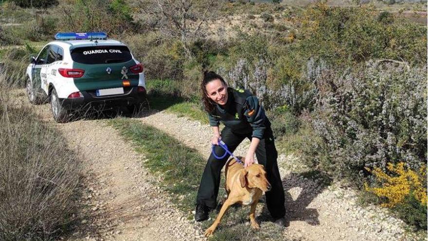 La Guardia Civil rescata un perro del interior de una balsa de riego en Maella