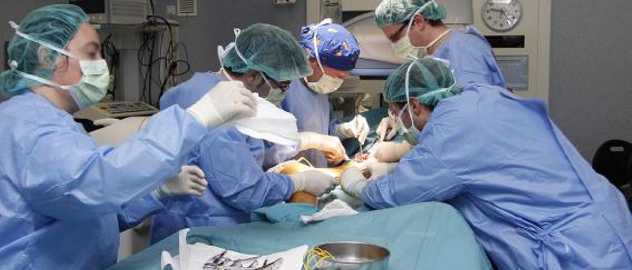 Según la consellera Patricia Gómez, unos 800 sanitarios han asistido a cursos para poder atender a los pacientes en catalán. | D.M.
