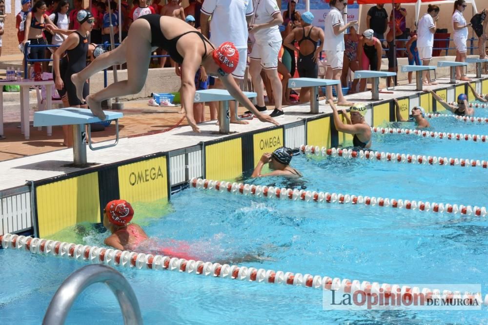 Final del Campeonato regional de natación.