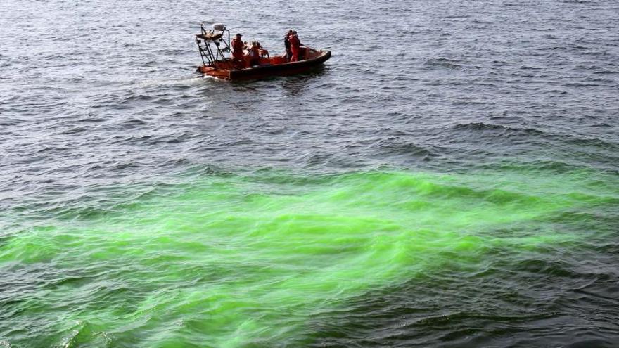 Simulacro de contaminación en la ría de Vigo. // José Lores