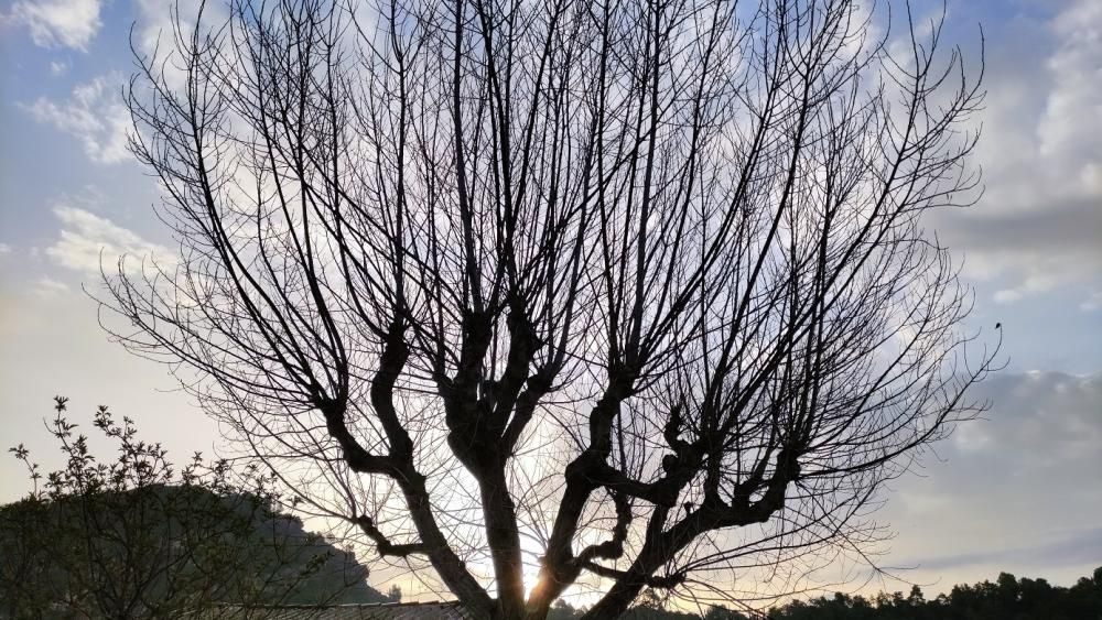 Núvols i rajos de sol de bon matí.