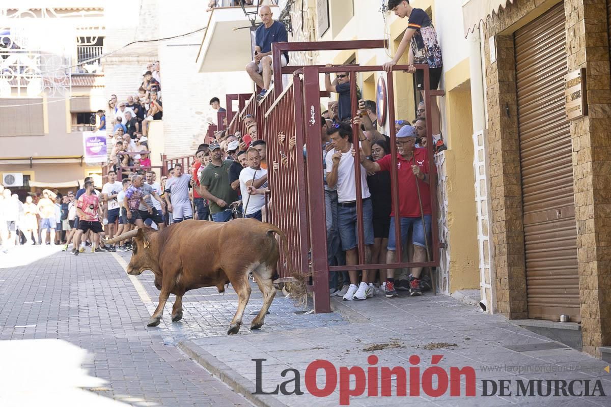 Tercer encierro de las Fiestas de Moratalla